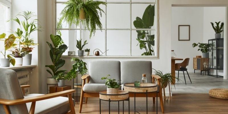 scandinavian-home-800x534